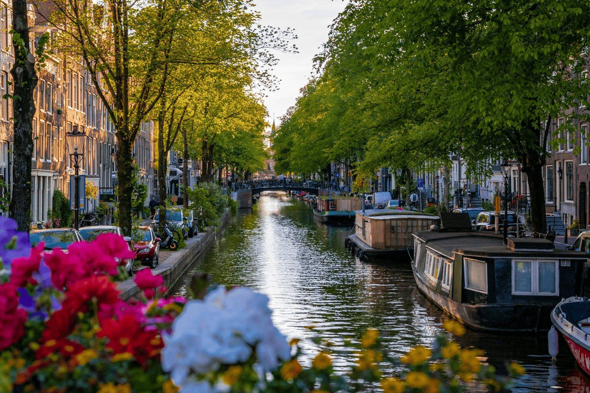 Rustige gracht in de Jordaan met bomen, woonboten en een brug